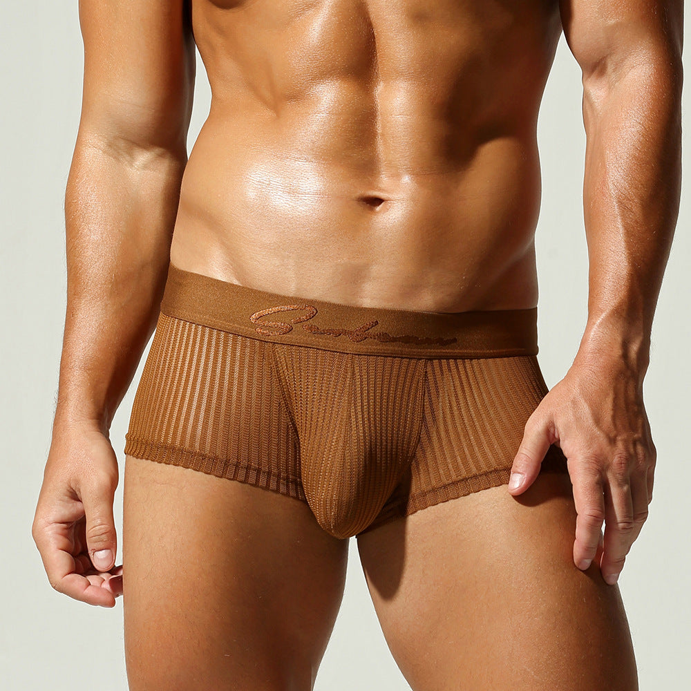 Sexy Mesh Men's Casual Boxer Shorts