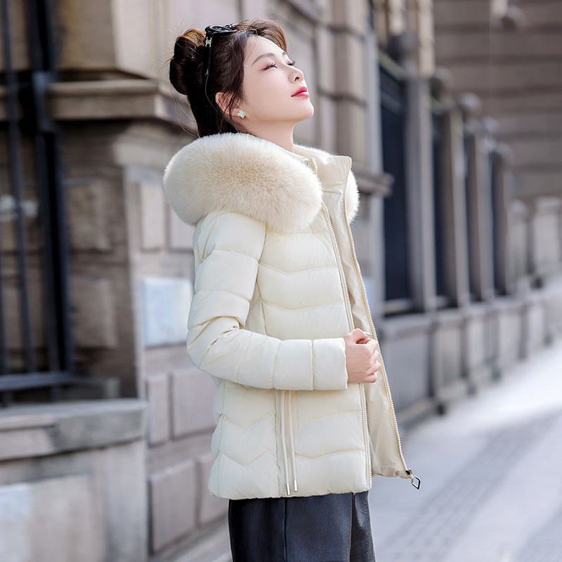 Removable Cap Down Cotton Small Padded Jacket